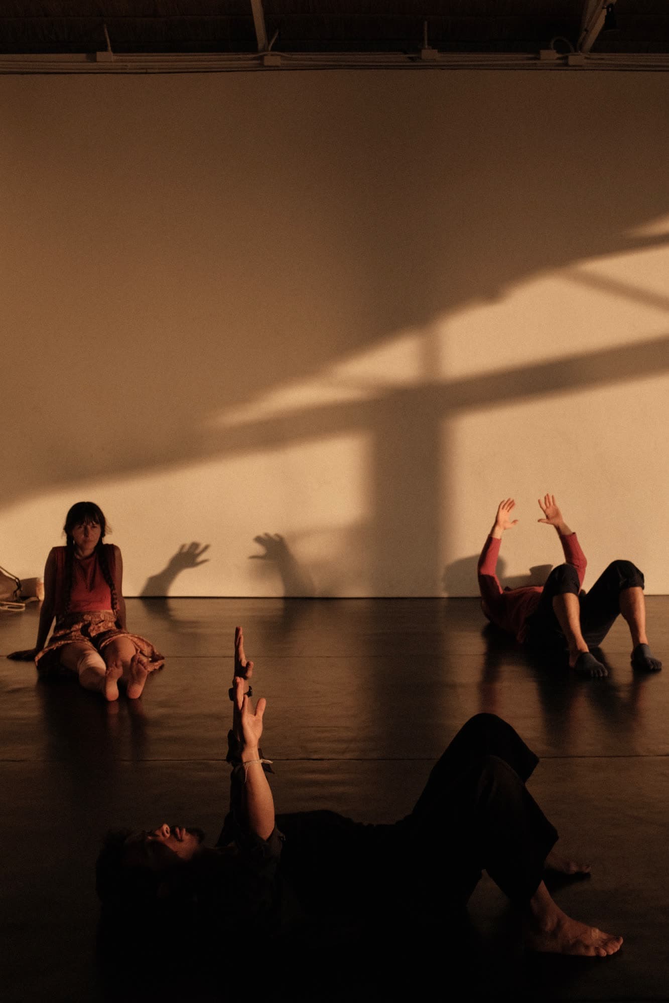 Contact improvisation photograph 6 by Amanda Roth
