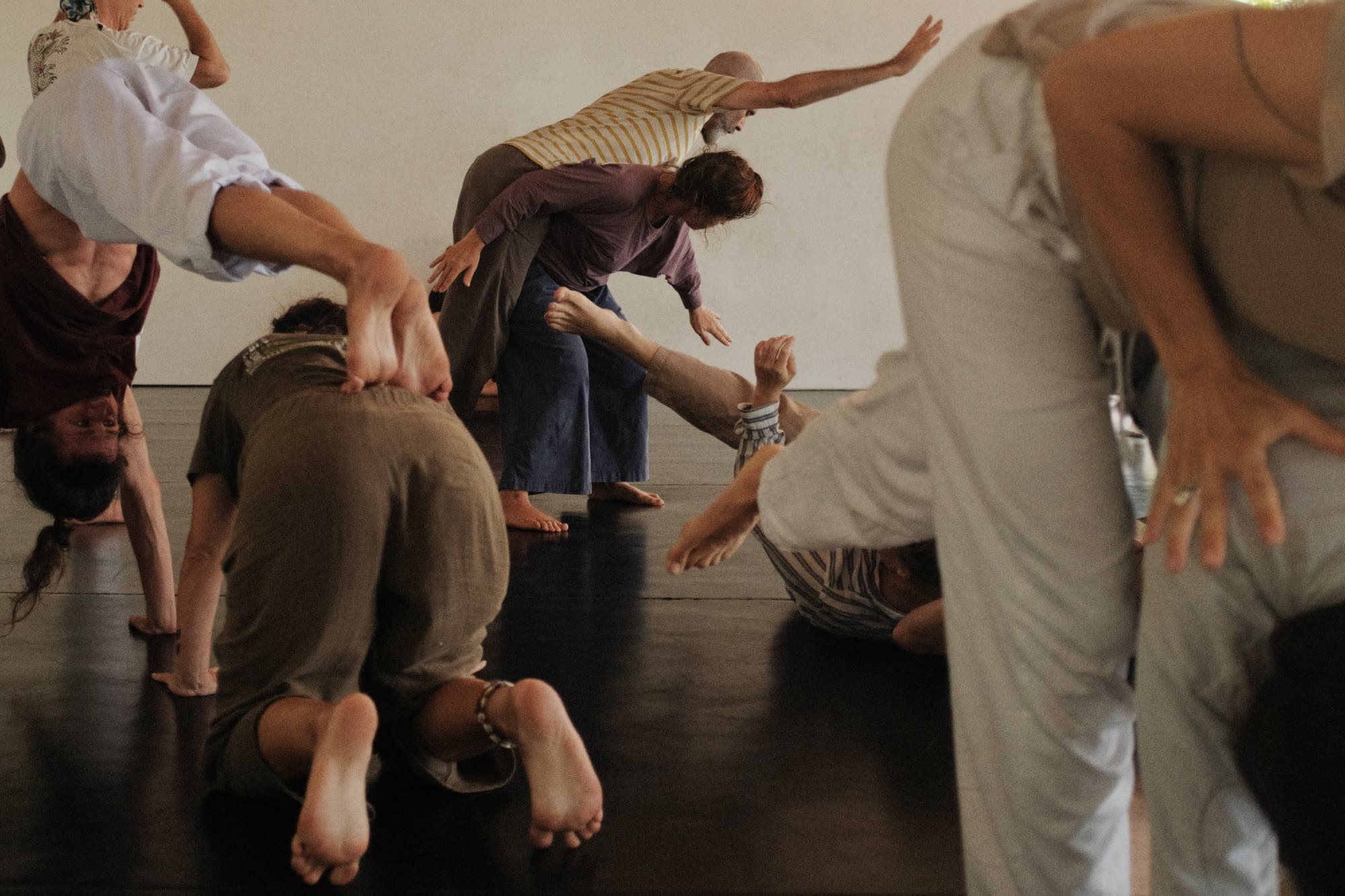 Contact improvisation photograph 17 by Amanda Roth